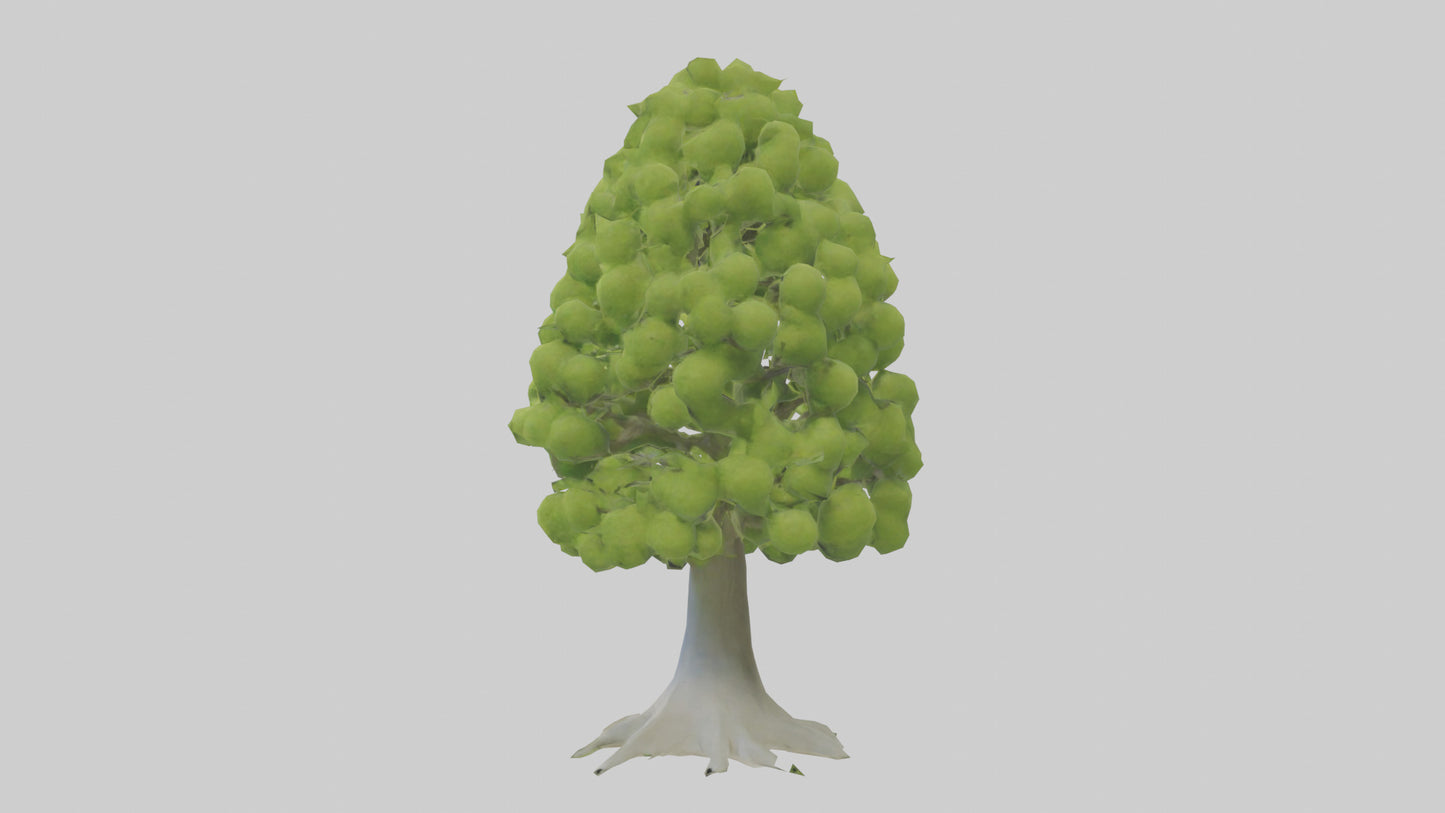 Lime tree model VR / AR / low-poly