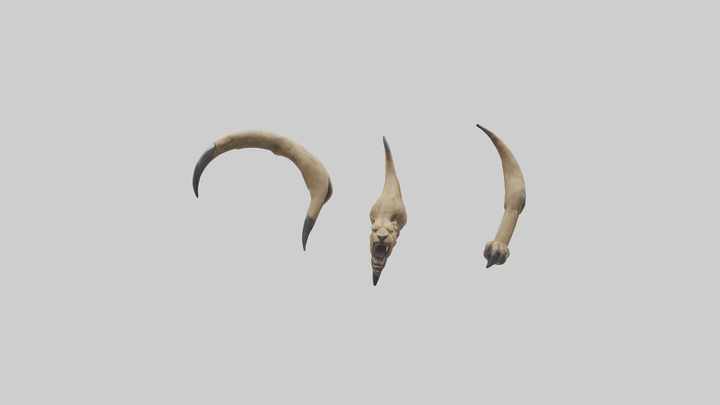 3D model Lion Claws VR / AR / low-poly