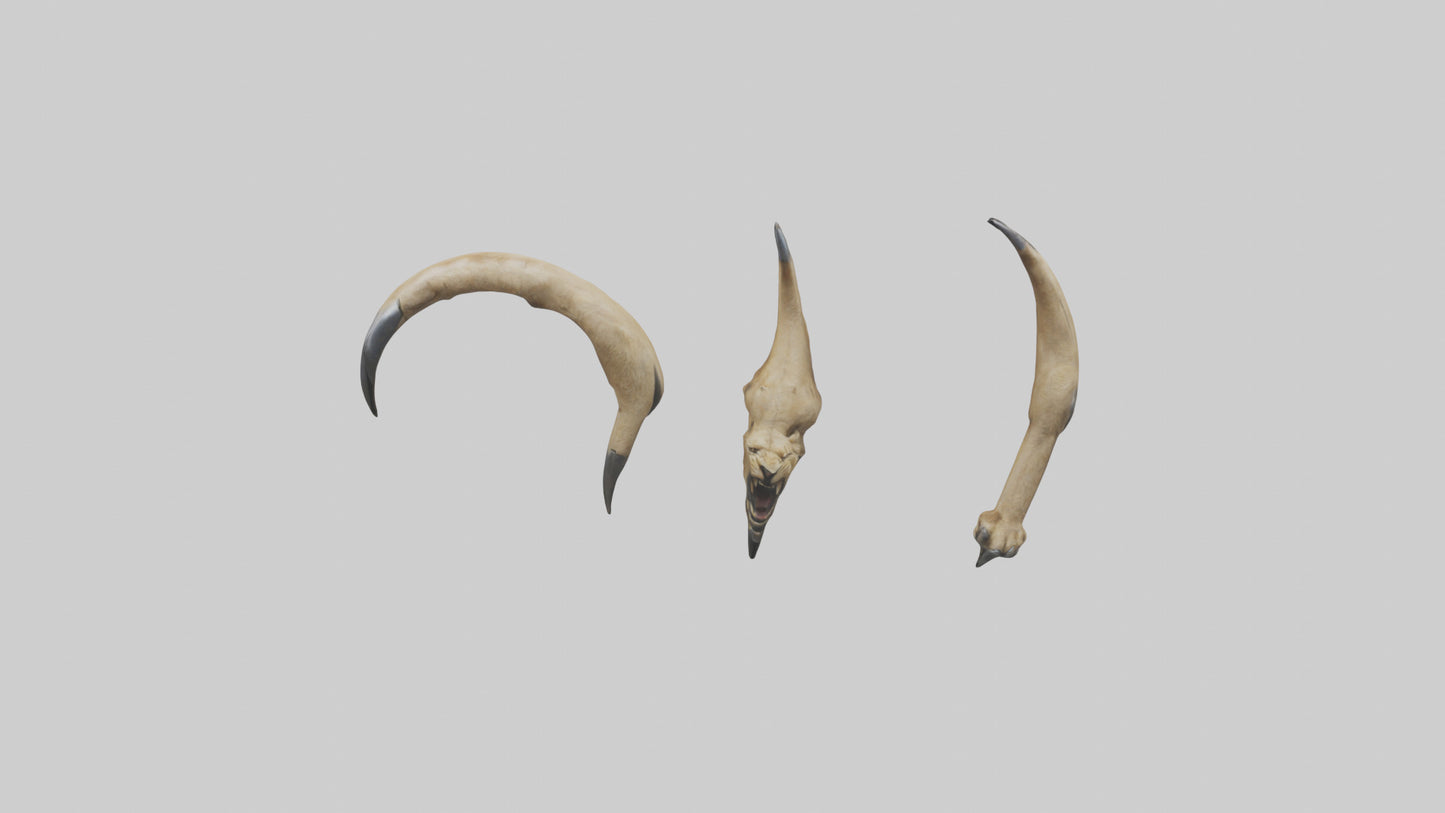 3D model Lion Claws VR / AR / low-poly