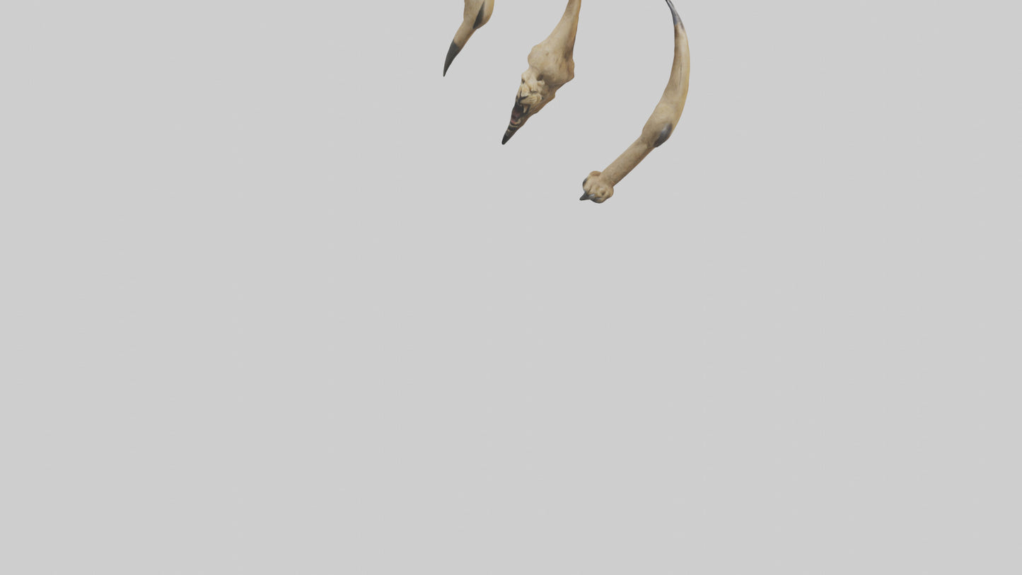 3D model Lion Claws VR / AR / low-poly