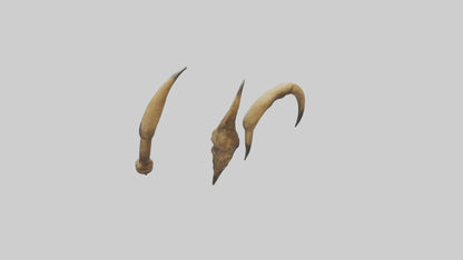 3D model Lion Claws VR / AR / low-poly