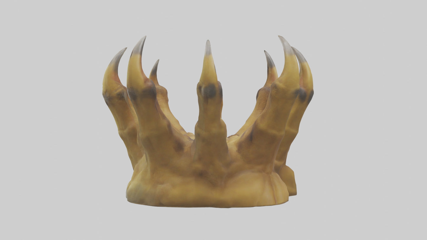 3D model Lion Claws Model VR / AR / low-poly