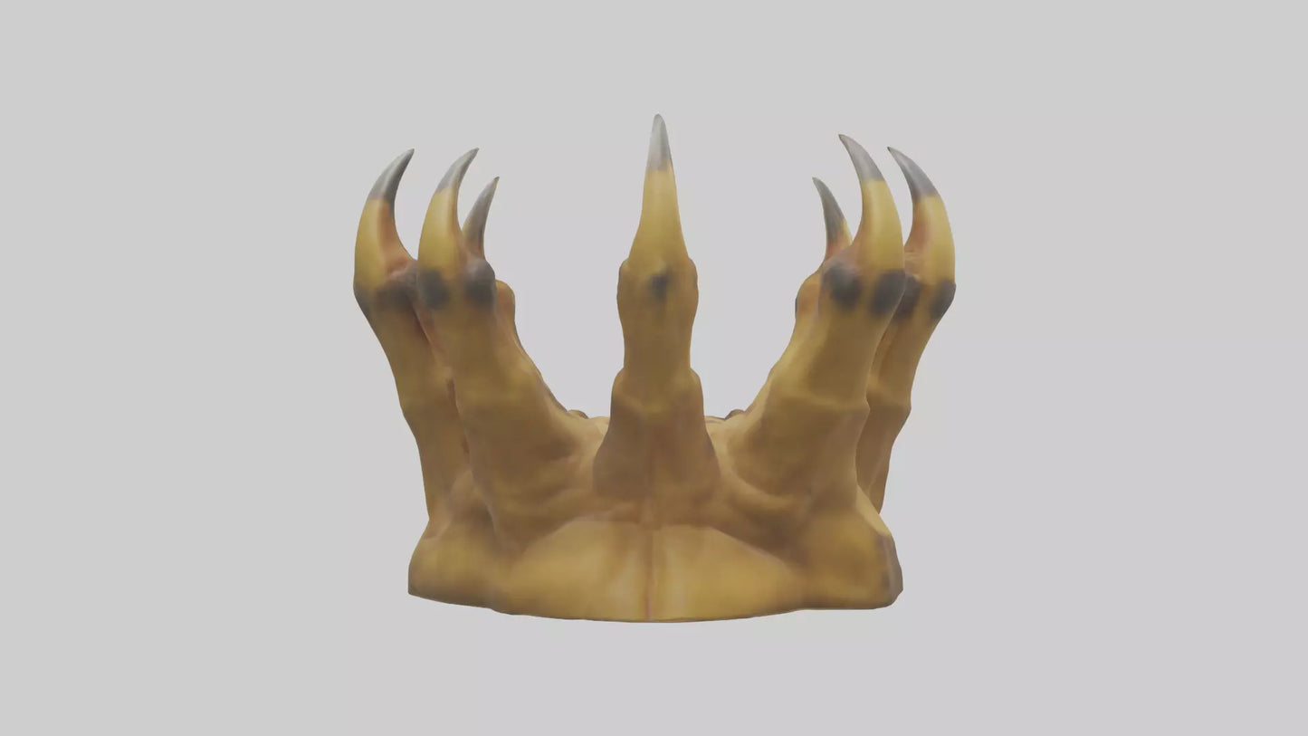 3D model Lion Claws Model VR / AR / low-poly