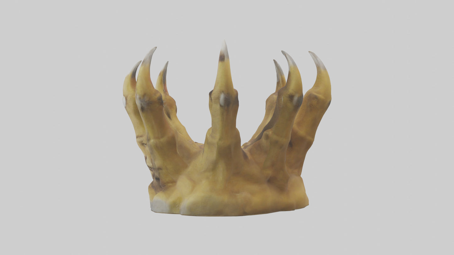 3D model Lion Claws Model VR / AR / low-poly