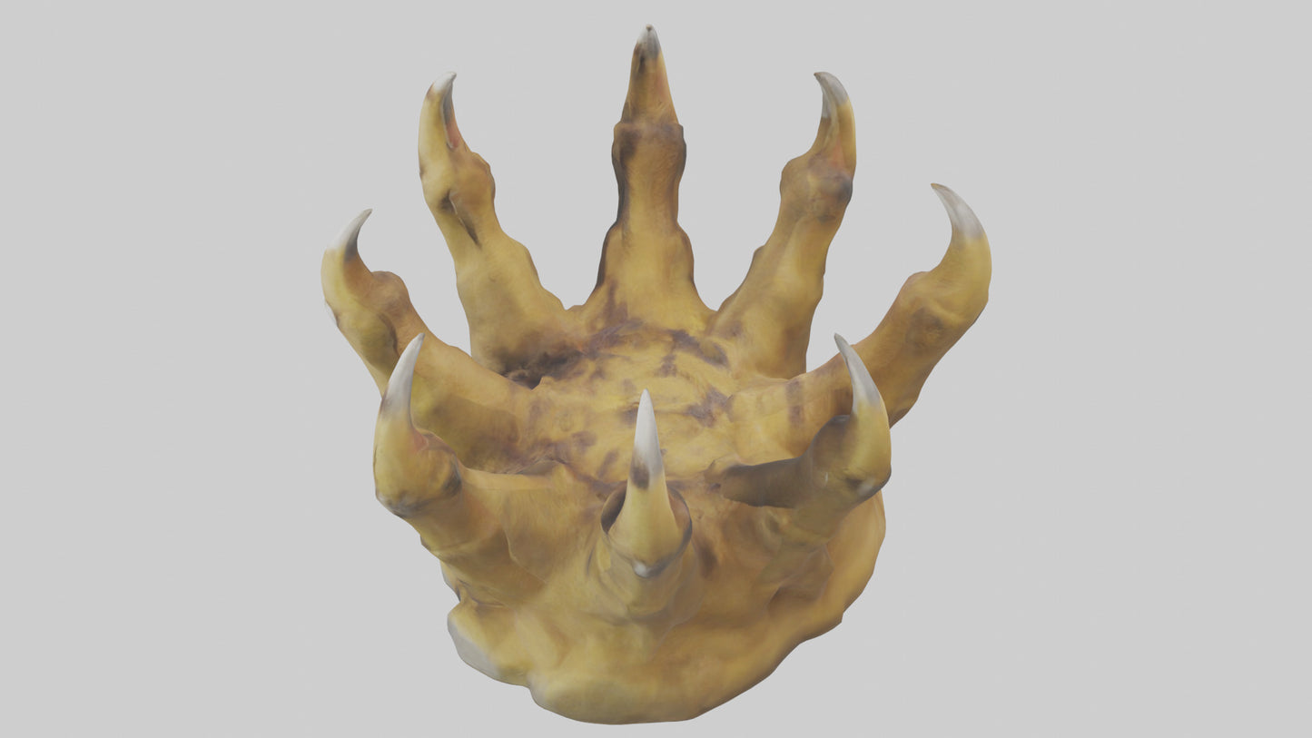 3D model Lion Claws Model VR / AR / low-poly