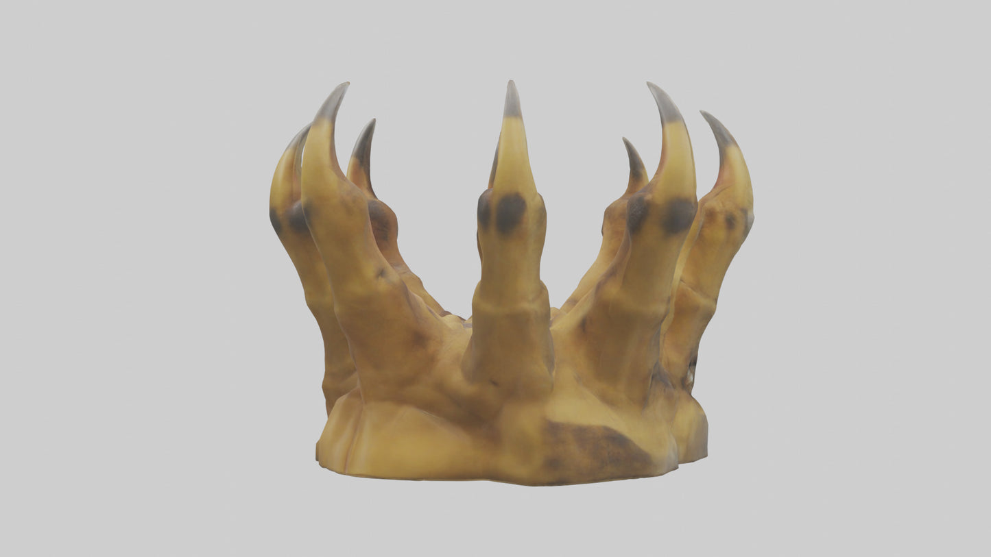 3D model Lion Claws Model VR / AR / low-poly