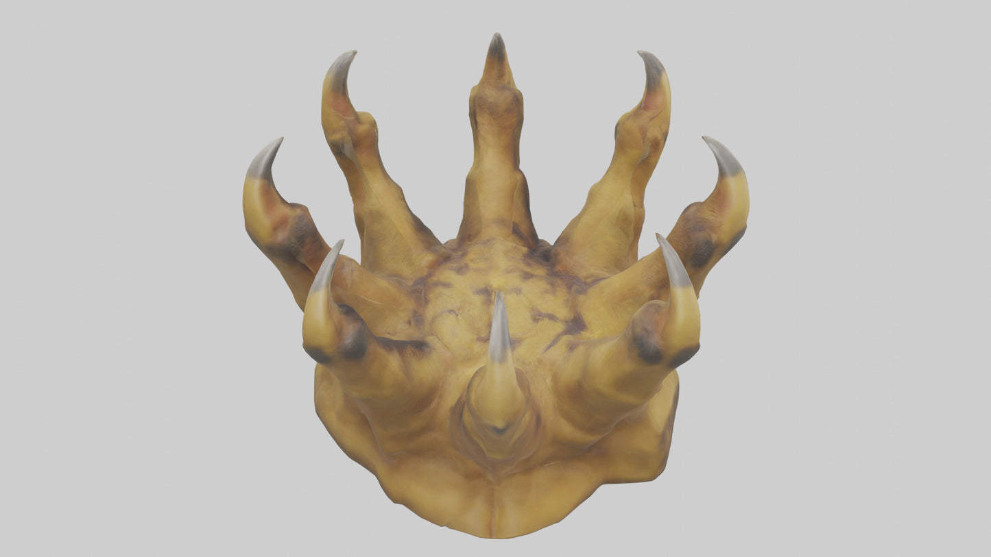 3D model Lion Claws Model VR / AR / low-poly