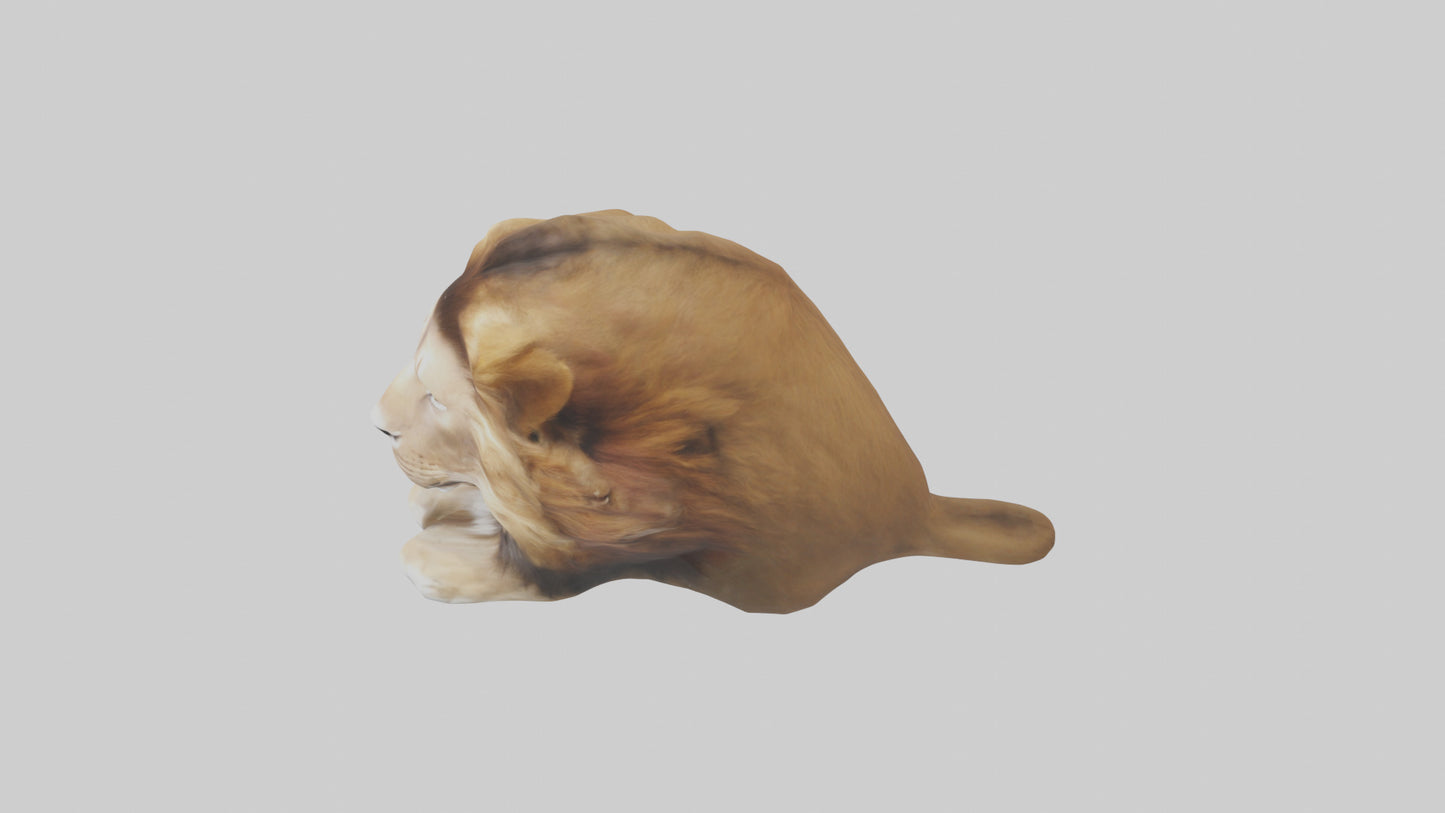 3D model Lion Mane VR / AR / low-poly