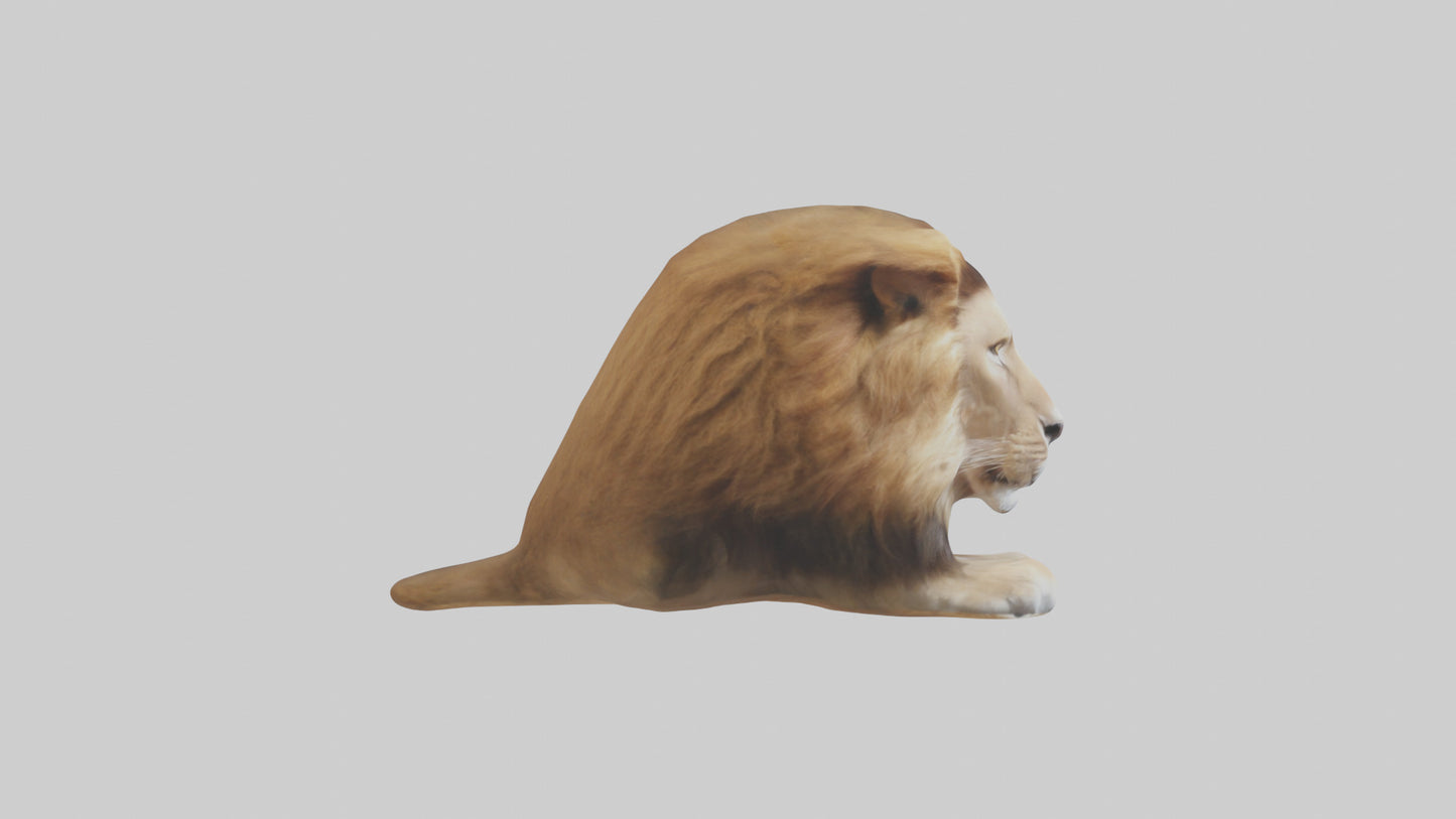 3D model Lion Mane VR / AR / low-poly