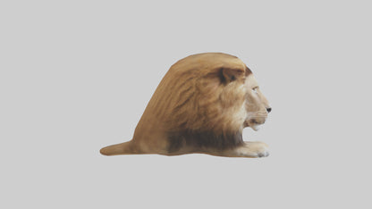 3D model Lion Mane VR / AR / low-poly