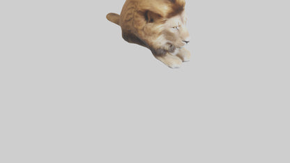 3D model Lion Mane VR / AR / low-poly