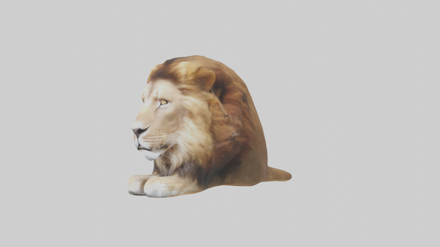 3D model Lion Mane VR / AR / low-poly