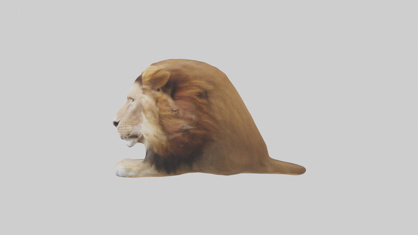 3D model Lion Mane VR / AR / low-poly