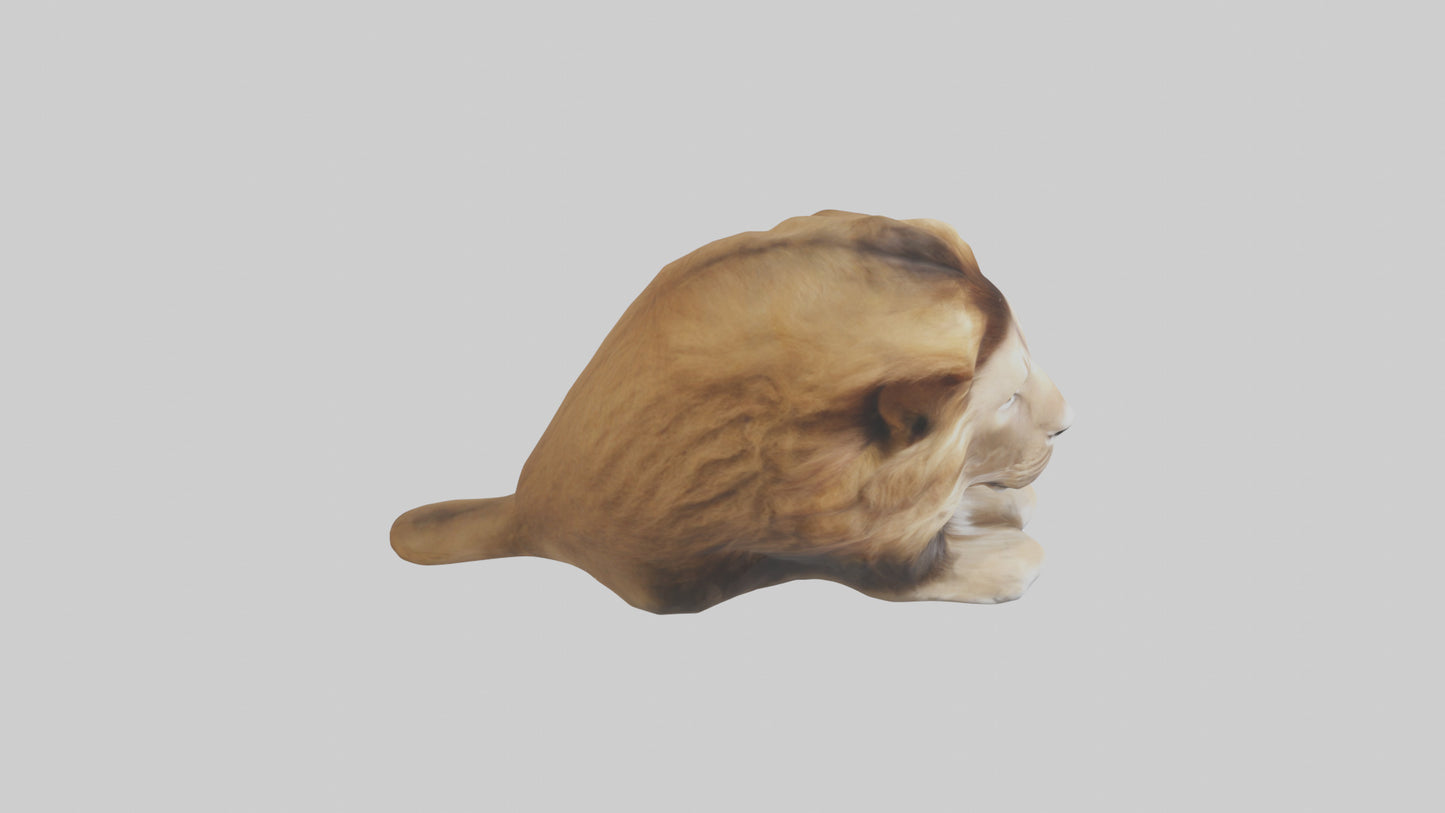 3D model Lion Mane VR / AR / low-poly
