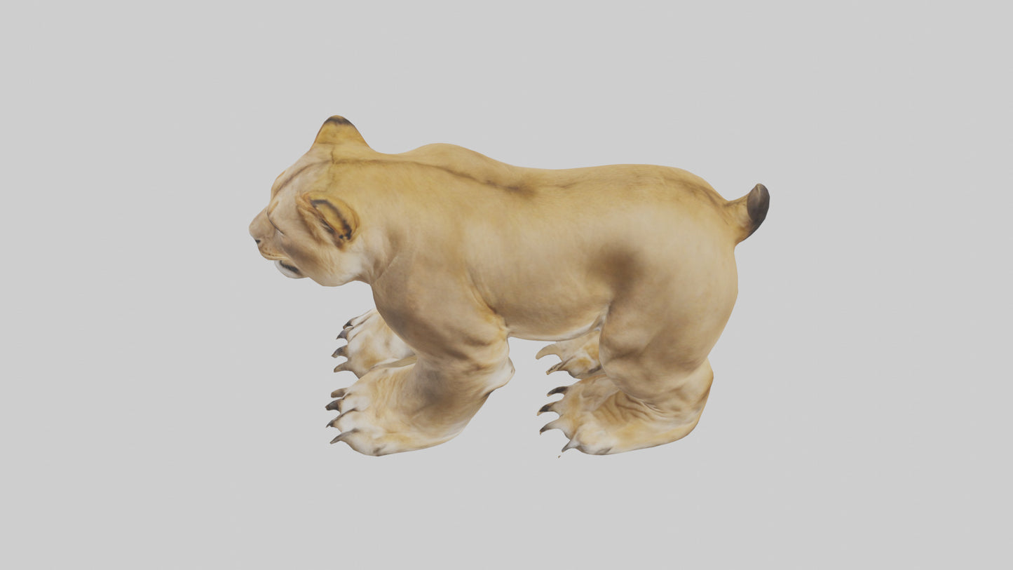 3D model Lion Paws VR / AR / low-poly