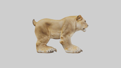 3D model Lion Paws VR / AR / low-poly