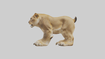 3D model Lion Paws VR / AR / low-poly