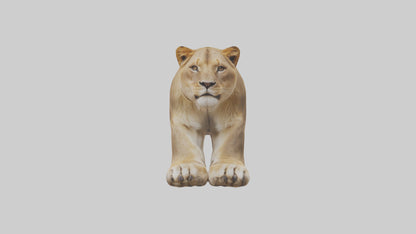 3D model Lion Paws VR / AR / low-poly