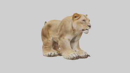 3D model Lion Paws VR / AR / low-poly