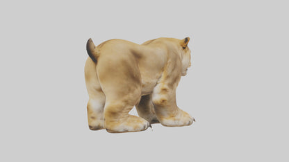 3D model Lion Paws VR / AR / low-poly