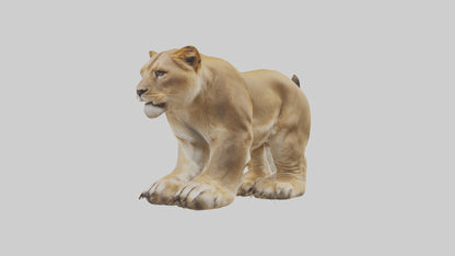 3D model Lion Paws VR / AR / low-poly