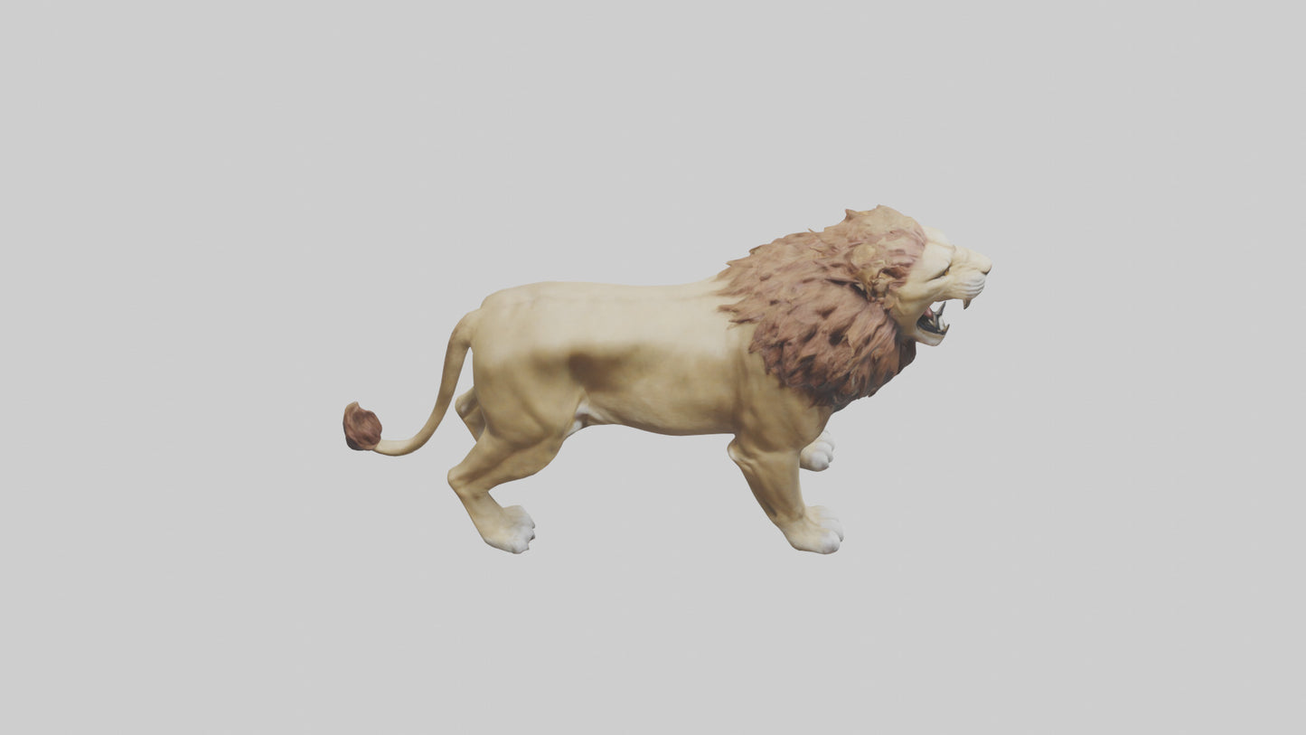 3D model Lion roaring model VR / AR / low-poly