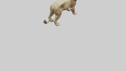 3D model Lion roaring model VR / AR / low-poly