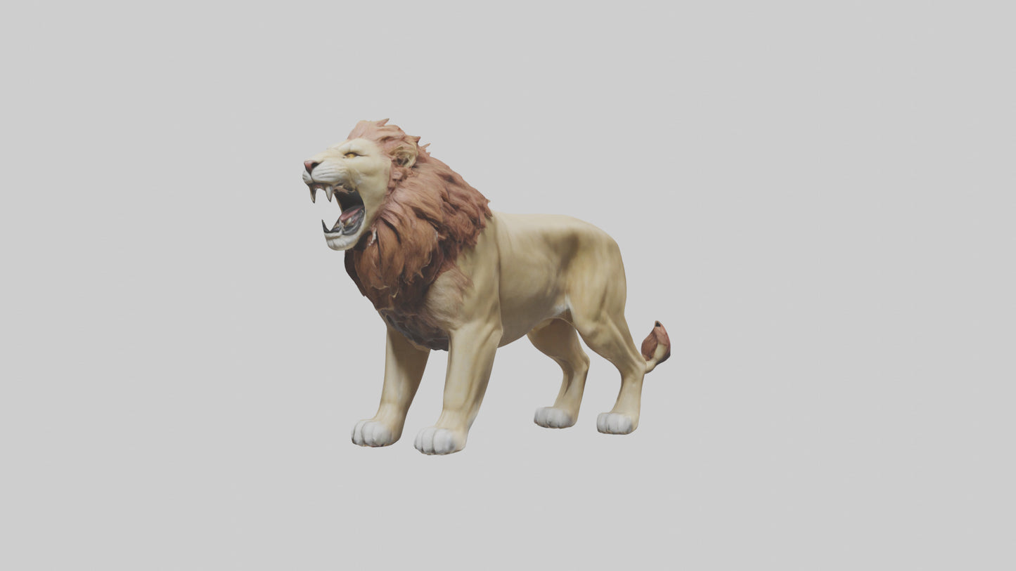 3D model Lion roaring model VR / AR / low-poly