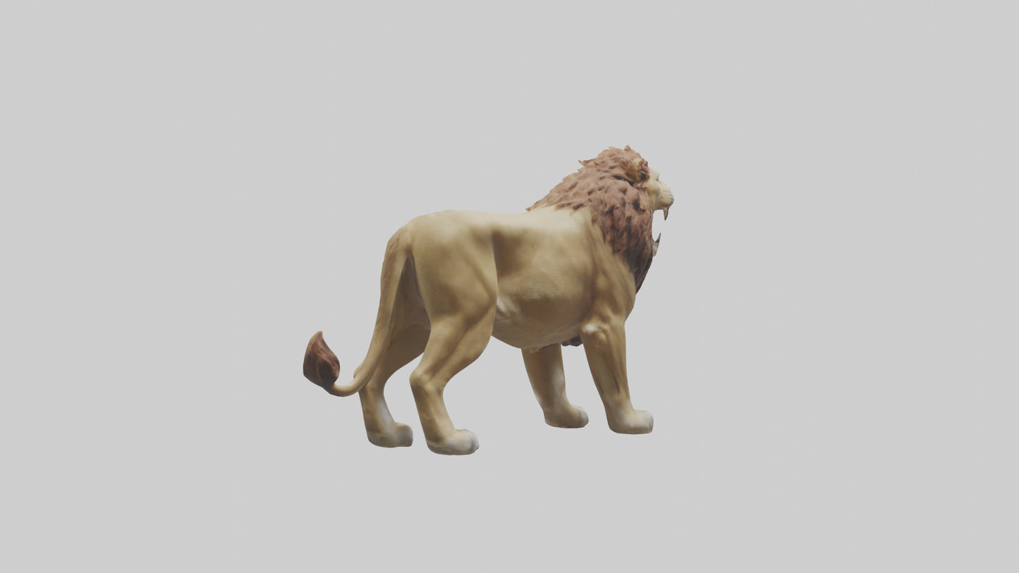 3D model Lion roaring model VR / AR / low-poly