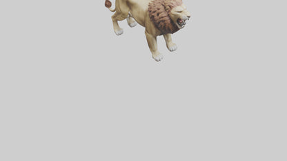 3D model Lion roaring model VR / AR / low-poly