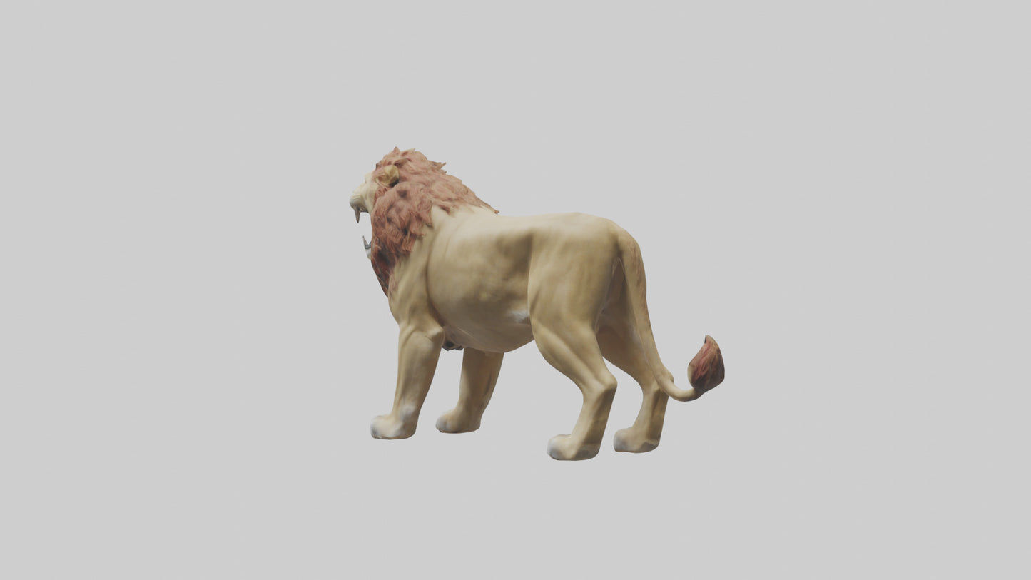 3D model Lion roaring model VR / AR / low-poly