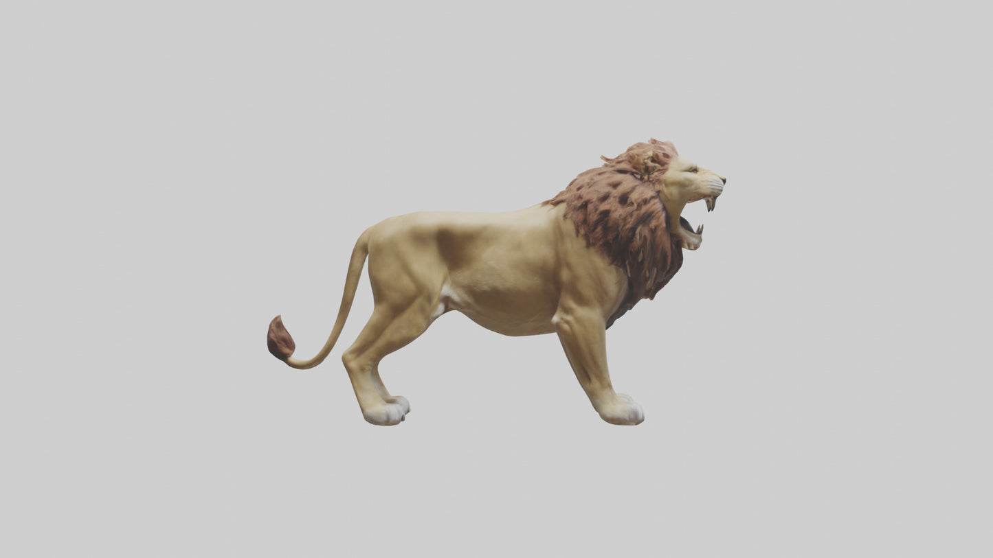 3D model Lion roaring model VR / AR / low-poly