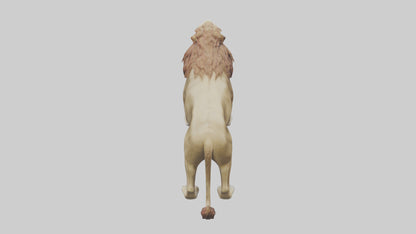 3D model Lion roaring model VR / AR / low-poly