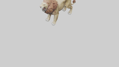 3D model Lion roaring model VR / AR / low-poly