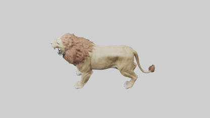 3D model Lion roaring model VR / AR / low-poly