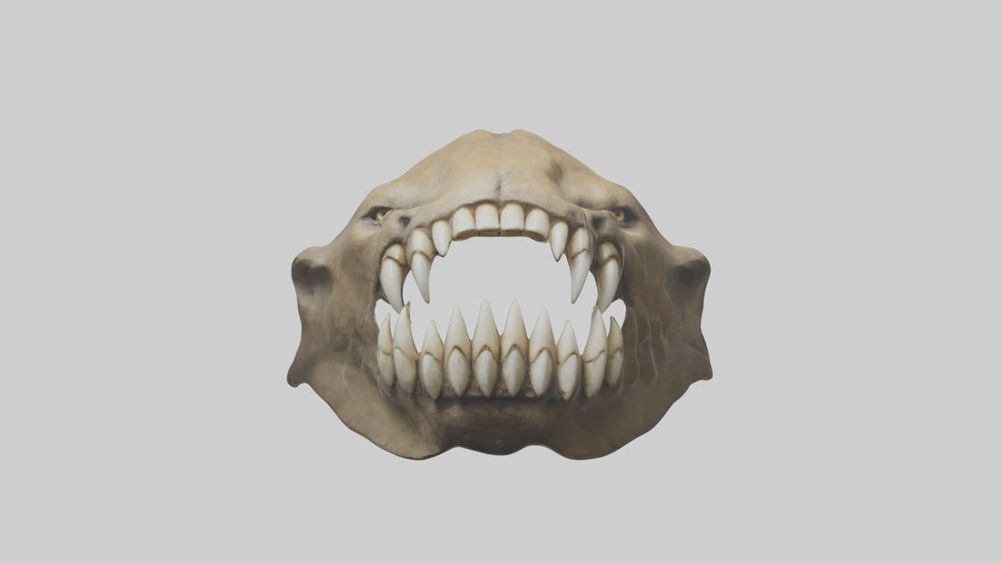 3D model Lion Teeth VR / AR / low-poly