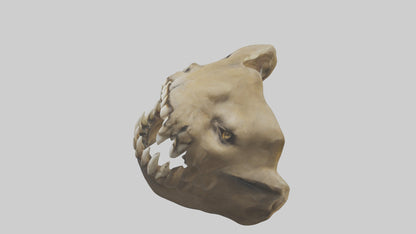 3D model Lion Teeth VR / AR / low-poly