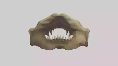 3D model Lion Teeth VR / AR / low-poly