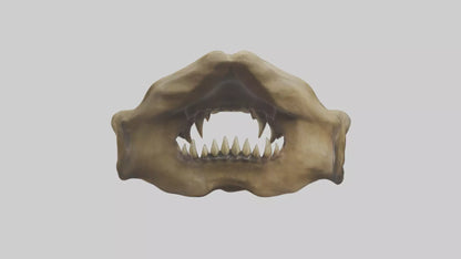 3D model Lion Teeth VR / AR / low-poly
