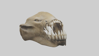 3D model Lion Teeth VR / AR / low-poly