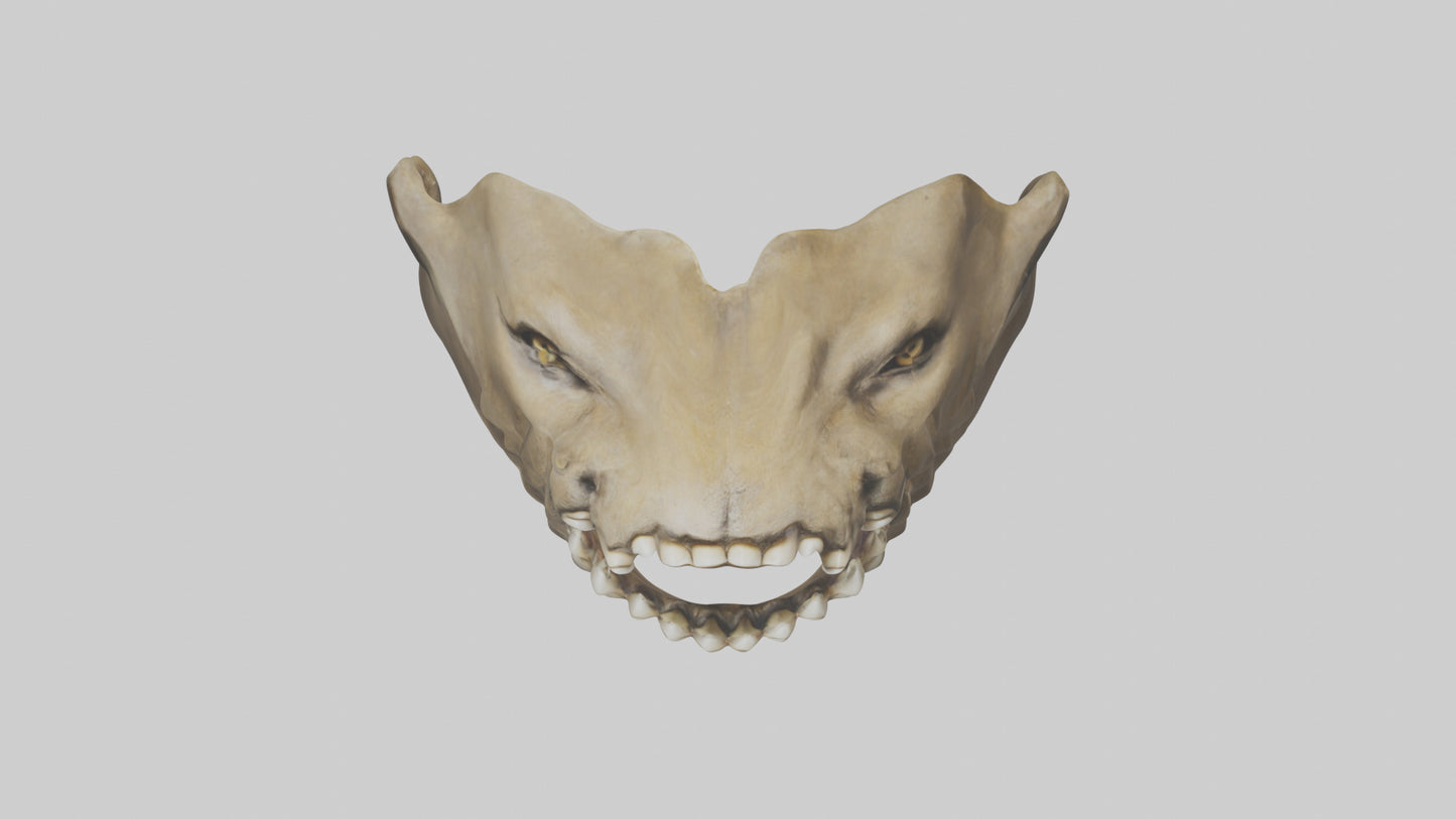 3D model Lion Teeth VR / AR / low-poly