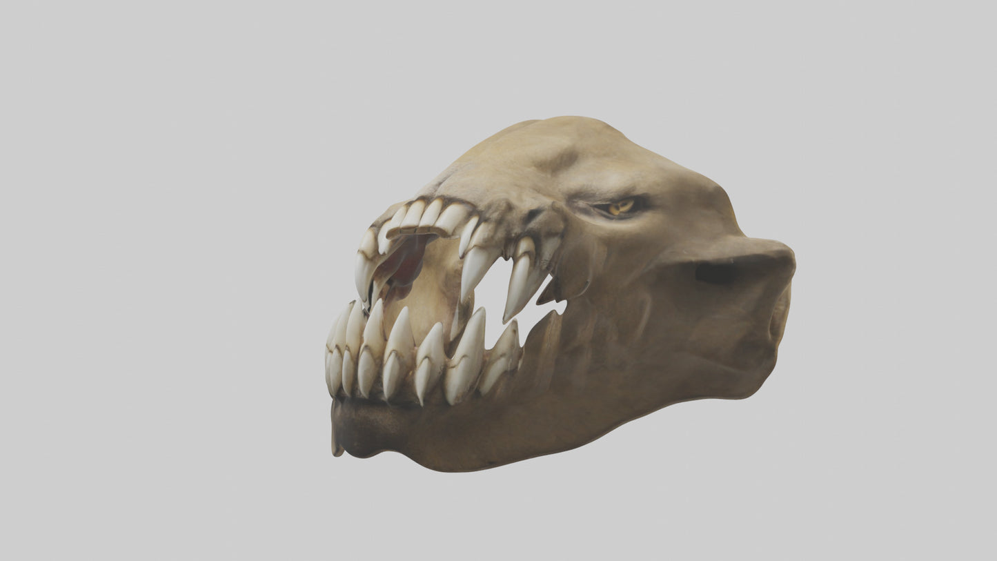3D model Lion Teeth VR / AR / low-poly
