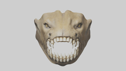 3D model Lion Teeth VR / AR / low-poly