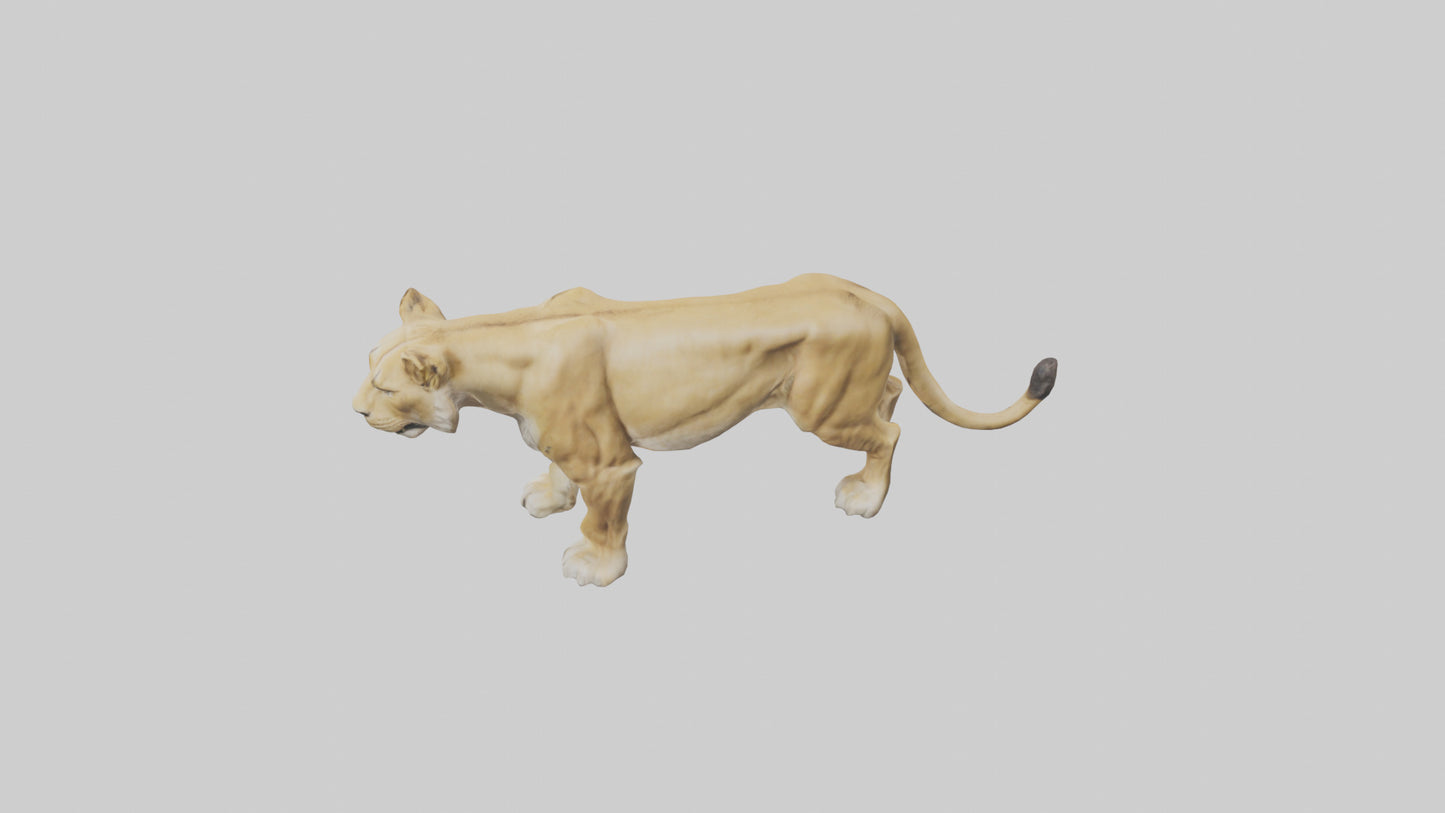 3D model Lioness hunting model VR / AR / low-poly
