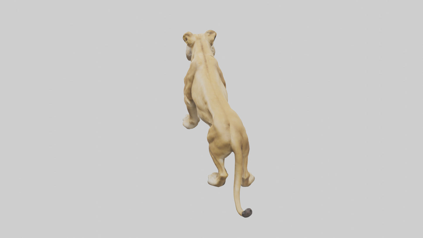 3D model Lioness hunting model VR / AR / low-poly
