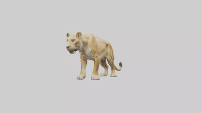 3D model Lioness hunting model VR / AR / low-poly