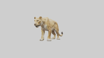 3D model Lioness hunting model VR / AR / low-poly