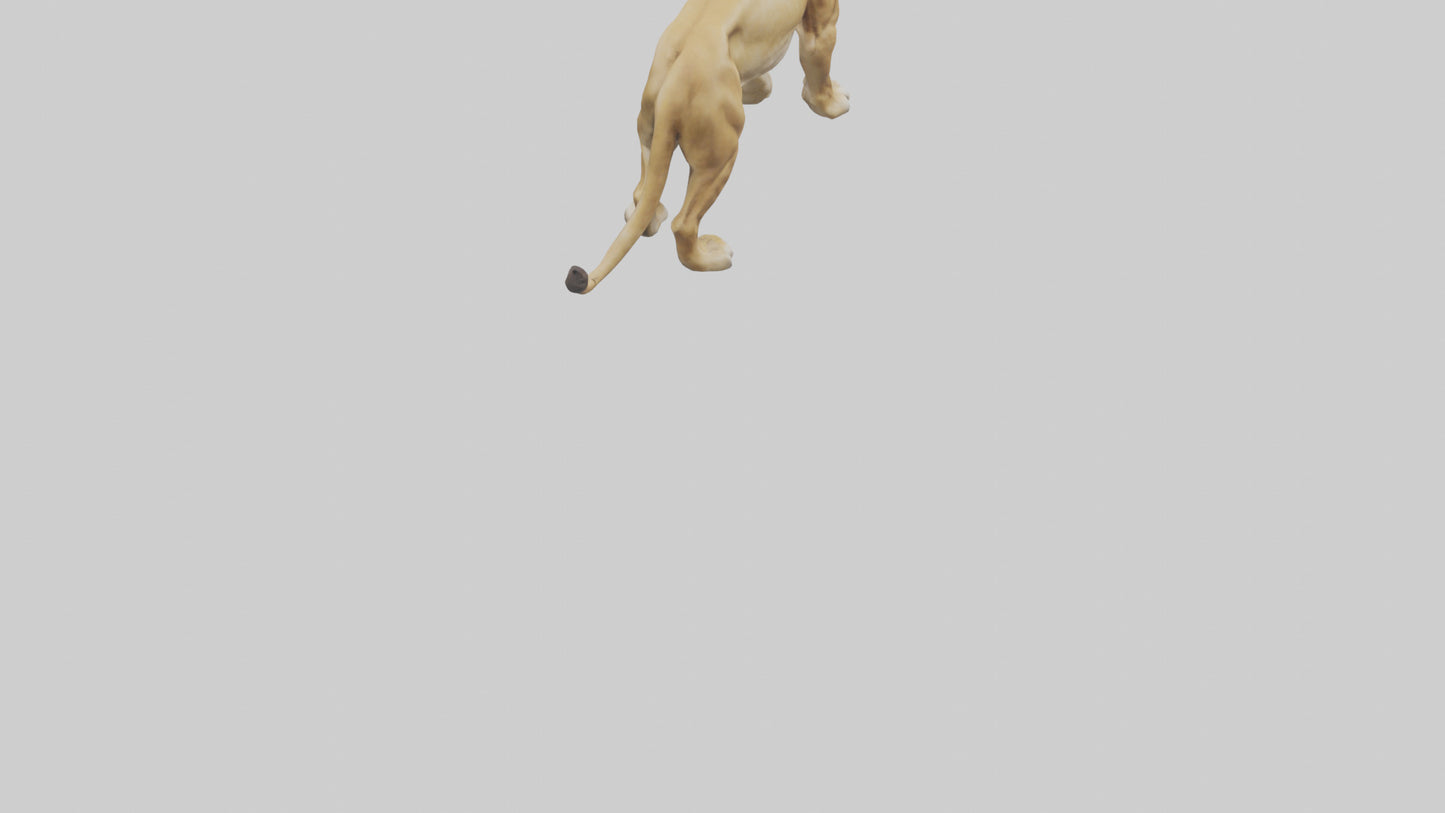 3D model Lioness hunting model VR / AR / low-poly