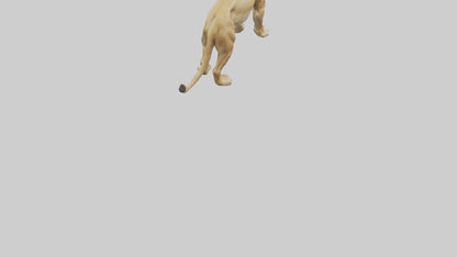 3D model Lioness hunting model VR / AR / low-poly