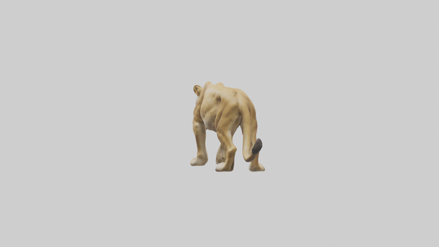 3D model Lioness hunting model VR / AR / low-poly